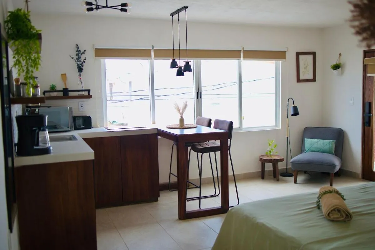 Comfortable Studio With Pool In The Best Location Cancún